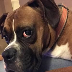 Meet your Posher, Crystal